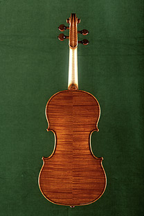 Geige, 1.Platz Nachod 2008