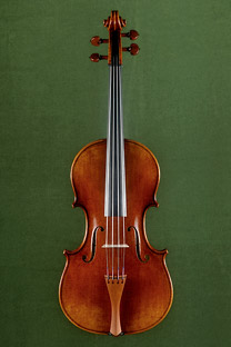 Viola 41.5