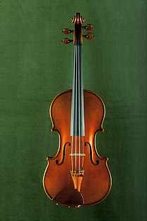 Violin, 1st place Nachod 2008